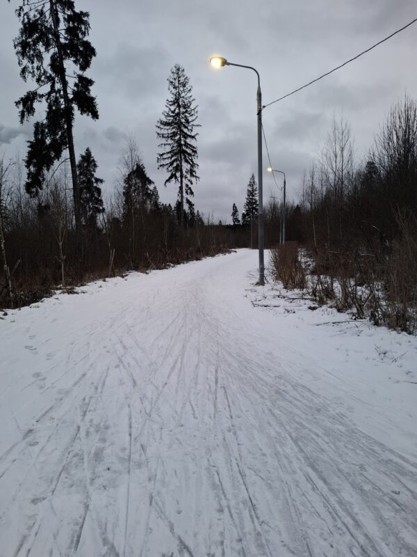 Трасса лыжероллерная Зеленоград Савелки, состояние на 22 декабря 2025 по отзыву, фото 4. 